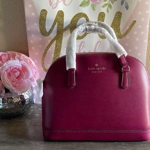 ⭐️Kate Spade Purse